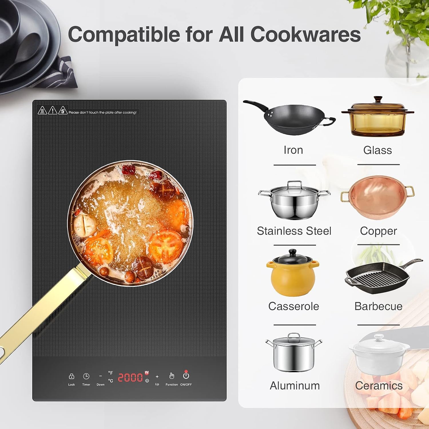 Electric Cooktop,  1800W Portable Stove Top, 12" Infrared Single Burner Hot Plate for Cooking, Countertop Ceramic Radiant Cooker with Timer & Child Lock, All Cookware Compatible for Rv/Dorm